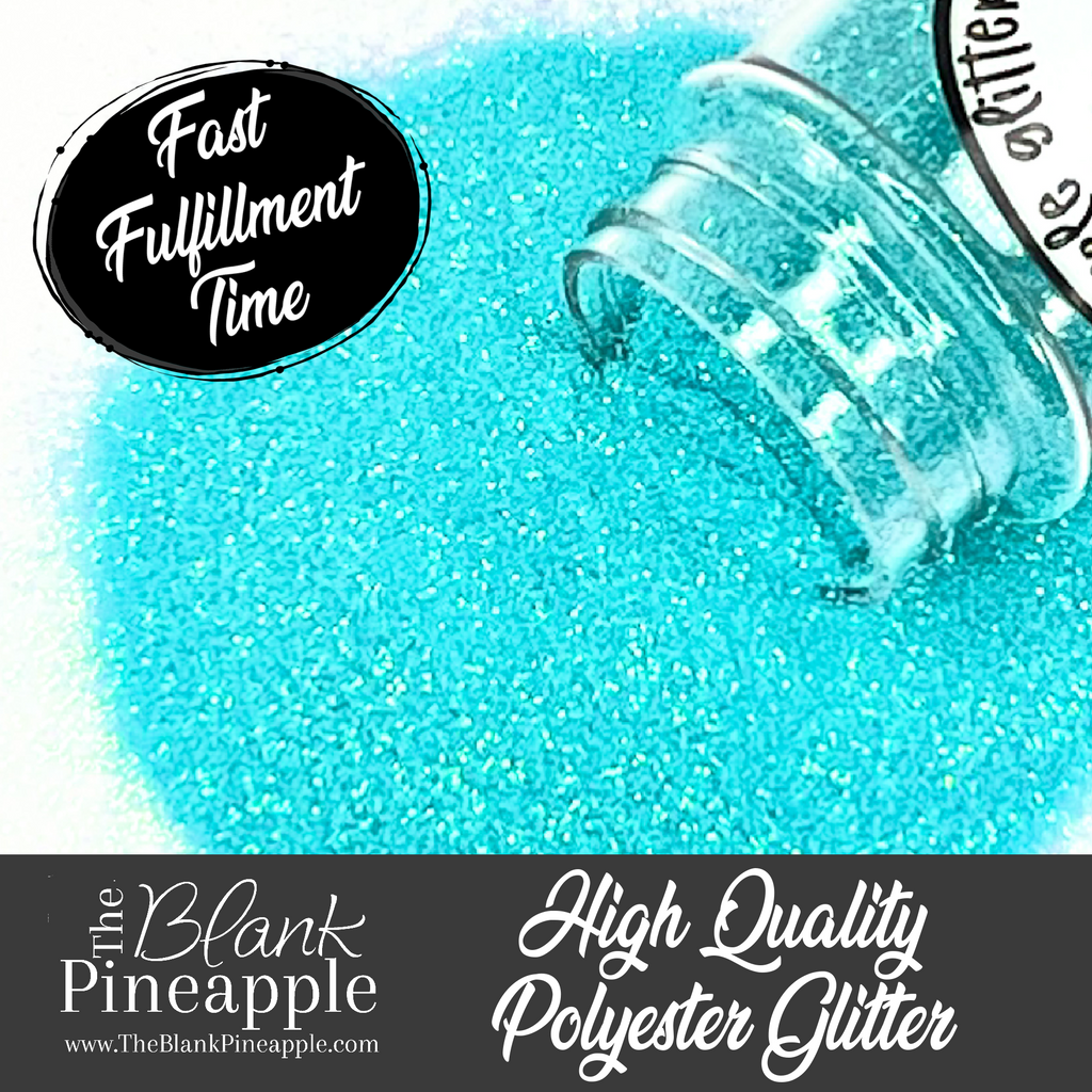 Robin's Egg Chunky Mix Aqua Blue Iridescent Glitter in 2oz Shaker Bottle - The Blank Pineapple